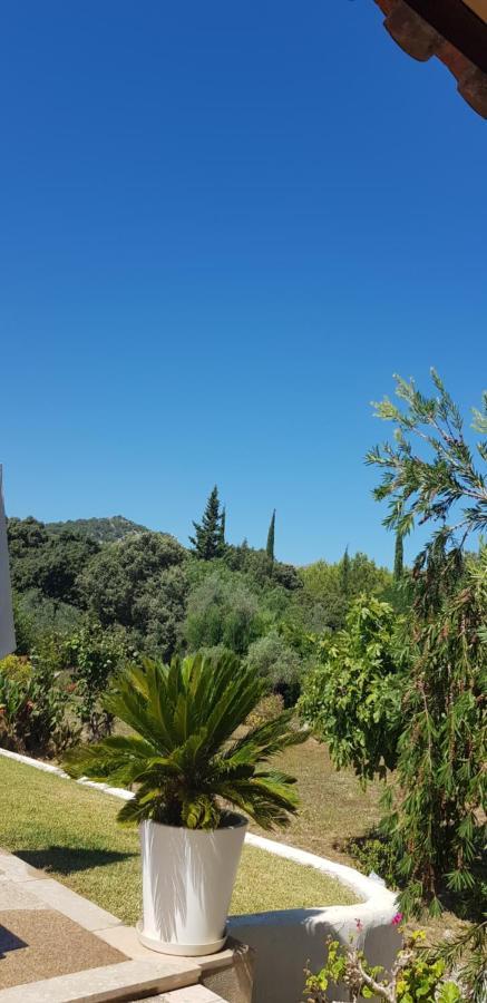 Villa Milagro - 3 Bedroom Finca Style Villa With Pool Near Golf Course/Beaches - Air Cond. Pollenca Exterior photo